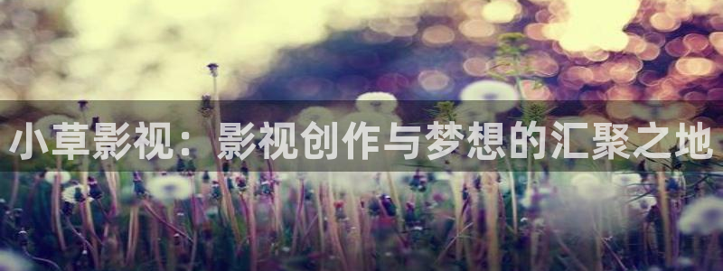熊猫的电视的价格：小草影视：影视创作与梦想的汇聚之地