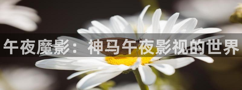 熊猫影院免费观看高清：午夜魔影：神马午夜影视的世界