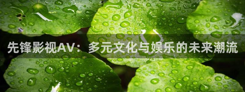 熊猫视频网站：先锋影视AV：多元文化与娱乐的未来潮流