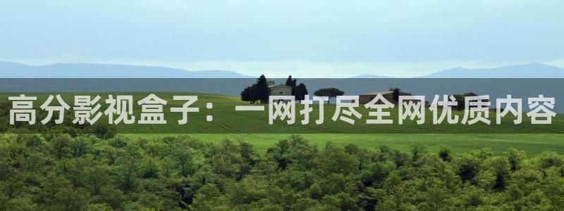 熊猫电影yy6y6：高分影视盒子：一网打尽全网优质内容
