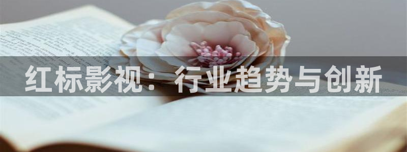 熊猫电影yy8y4免费观看：红标影视：行业趋势与创新