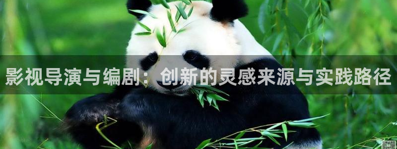 熊猫电视官网：影视导演与编剧：创新的灵感来源与实践路径