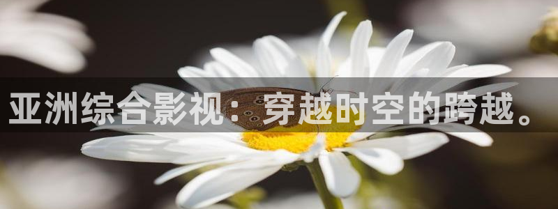 熊猫熊猫电视：亚洲综合影视：穿越时空的跨越。